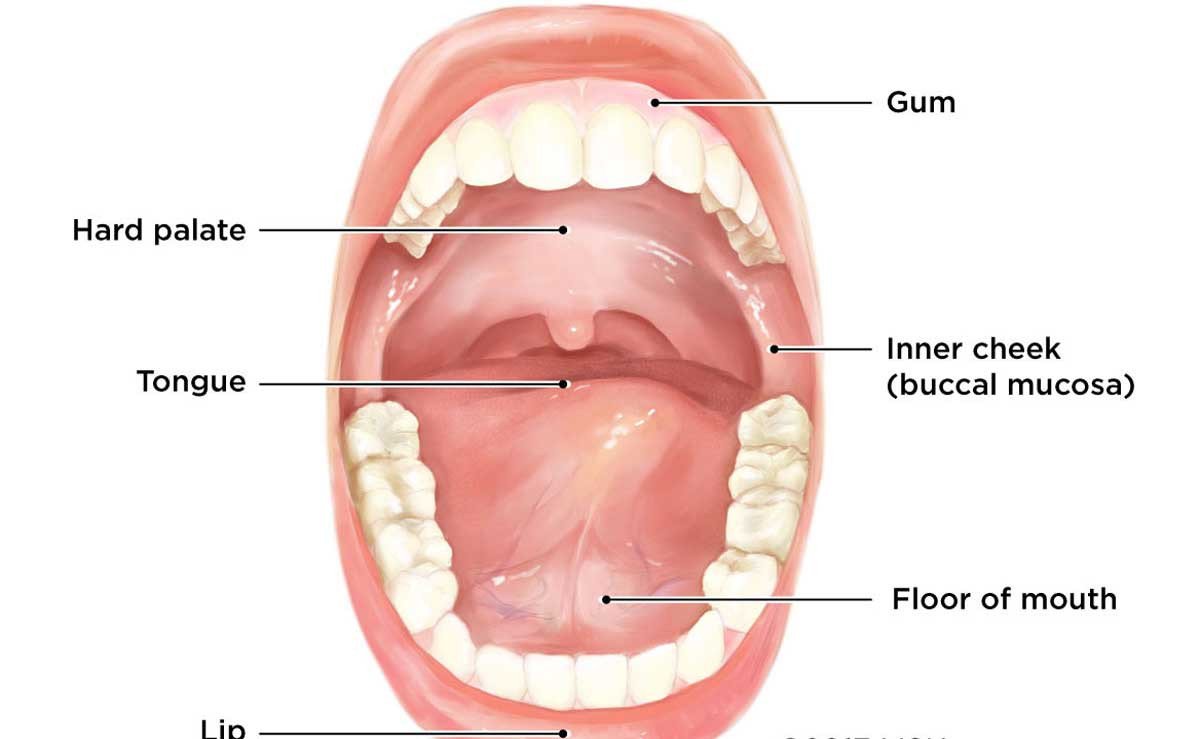 Ace Medicare Offers the Best Oral Cancer Treatment Packages in Delhi