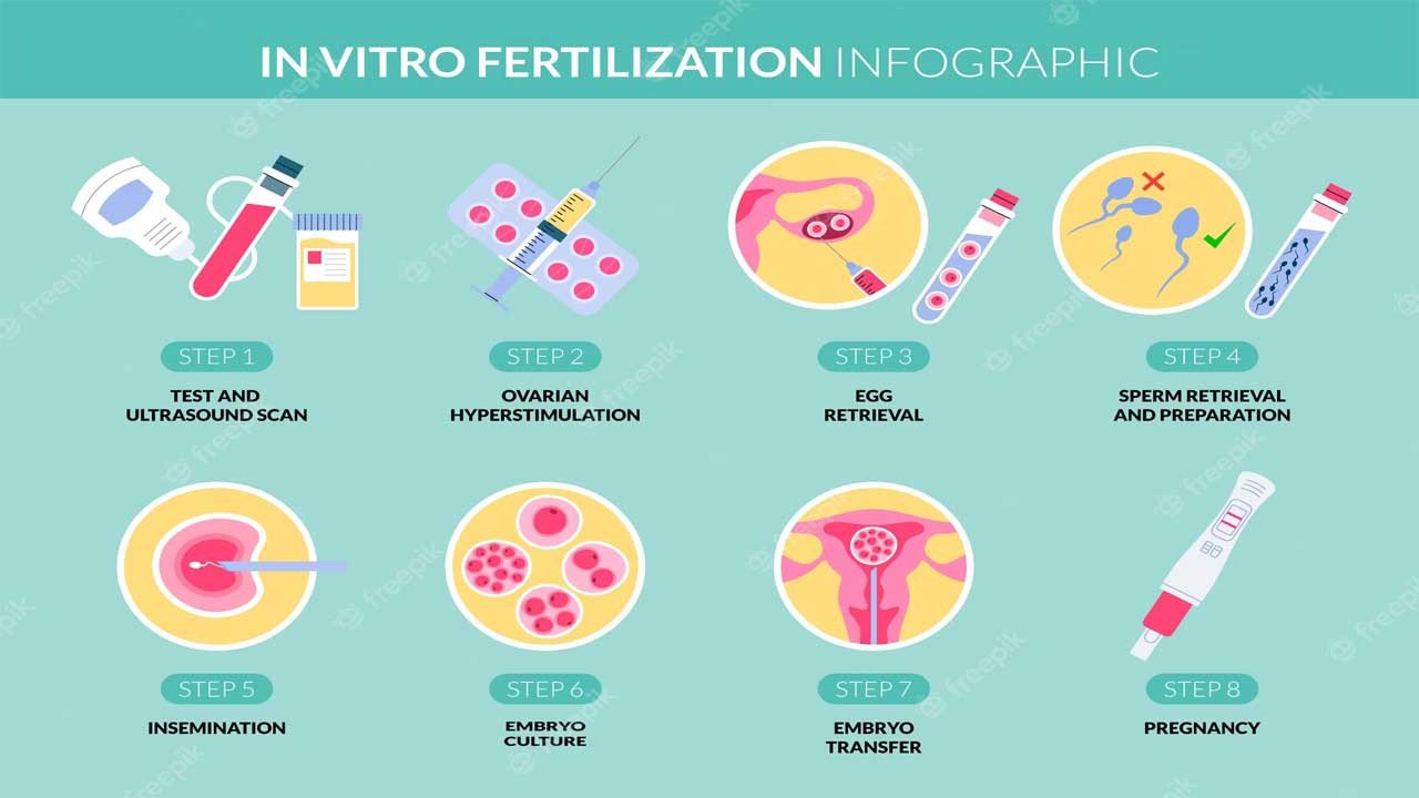 What to expect after an IVF cycle: Pregnancy and Beyond