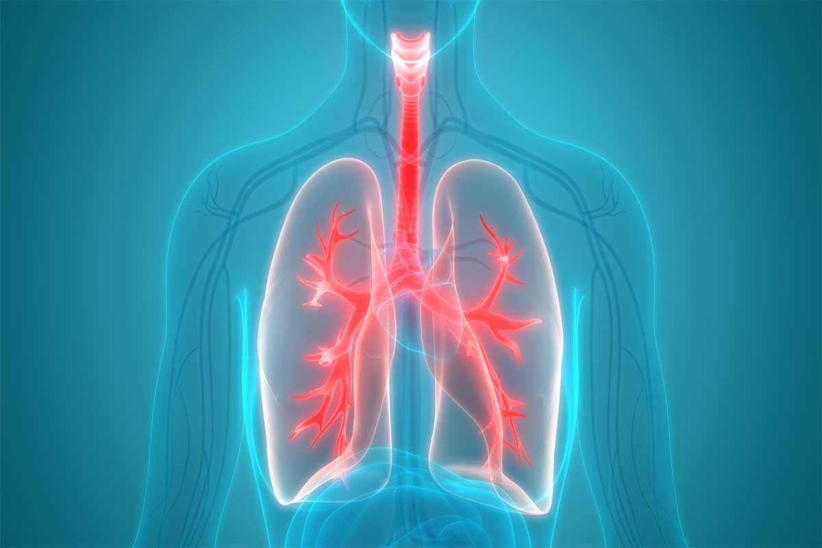 Tips to Prepare for a Lung Transplant