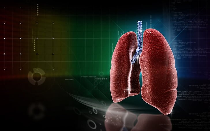Tips for a Faster Recovery After a Lung Transplant