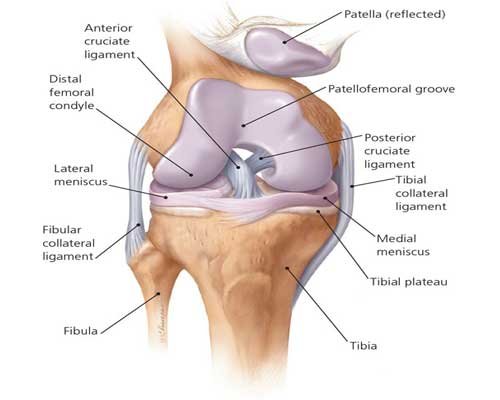 ACL Reconstruction Surgery